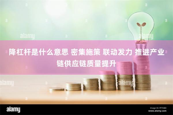降杠杆是什么意思 密集施策 联动发力 推进产业链供应链质量提升
