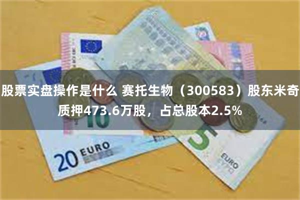 股票实盘操作是什么 赛托生物（300583）股东米奇质押473.6万股，占总股本2.5%