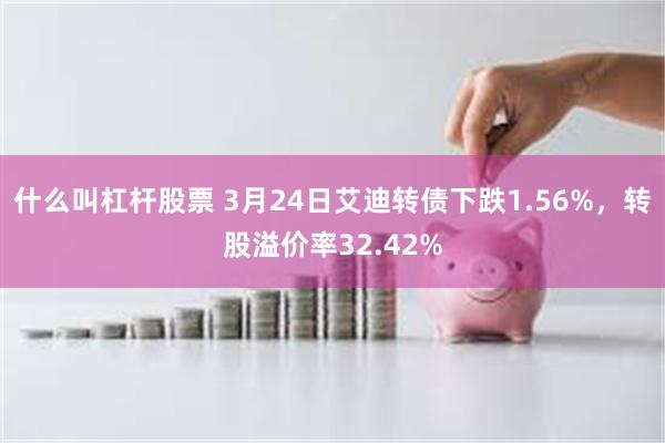 什么叫杠杆股票 3月24日艾迪转债下跌1.56%，转股溢价率32.42%