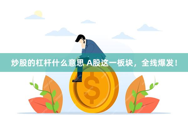 炒股的杠杆什么意思 A股这一板块，全线爆发！