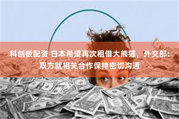 科创板配资 日本希望再次租借大熊猫，外交部：双方就相关合作保持密切沟通