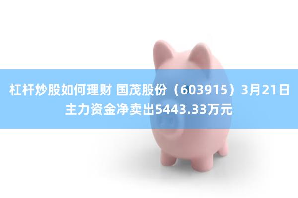 杠杆炒股如何理财 国茂股份（603915）3月21日主力资金净卖出5443.33万元