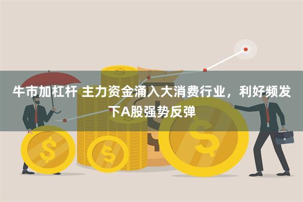 牛市加杠杆 主力资金涌入大消费行业，利好频发下A股强势反弹