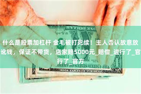 什么是股票加杠杆 金毛被打死续！主人否认故意放狗讹钱，保证不带货，店家赔5000元_赔偿_进行了_官方