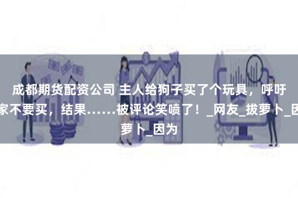 成都期货配资公司 主人给狗子买了个玩具，呼吁大家不要买，结果……被评论笑喷了！_网友_拔萝卜_因为
