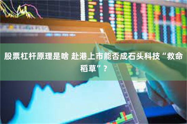 股票杠杆原理是啥 赴港上市能否成石头科技“救命稻草”？