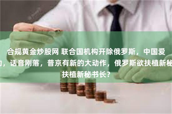 合规黄金炒股网 联合国机构开除俄罗斯,中国爱莫能助,话音刚落,普京有新的大动作,俄罗斯欲扶植新秘书长?